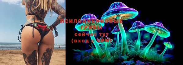 спиды Киреевск