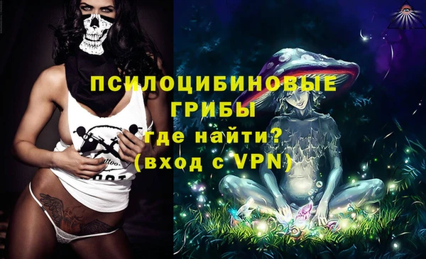 трава Медвежьегорск