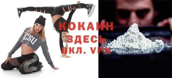дживик Кинешма