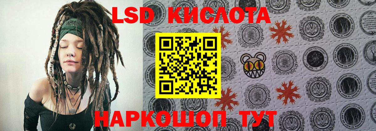  COCAIN Россия