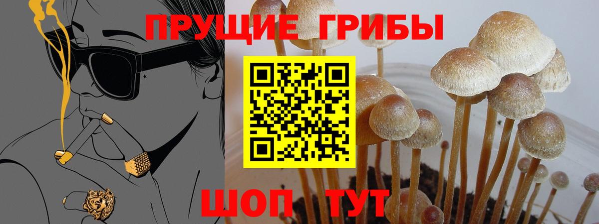 Псилоцибиновые грибы ЛСД Россия